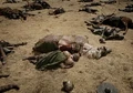 Theoden's death.png