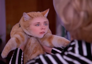 Cat showdown
