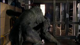 1x6futurePredatorStalkingPrey