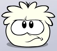 Angry White Puffle