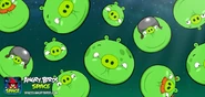 Puffed Up Pigs