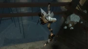 Awmoar