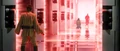 Laser gates.png