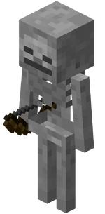 Skeleton