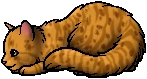 Mothwing.kit