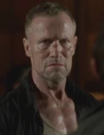 Merleface