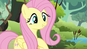 Fluttershy gives Discord the benefit of the doubt S03E10