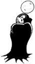 Fo1 Night Person