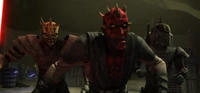 Maul Savage Vizsla