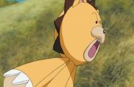 Ep320KonYellsAtNozomi