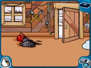 Tool Shed Front