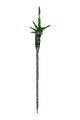 M GlassStaff.png