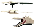 Gaghiel Design.png