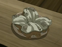 Clam