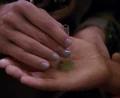 Poison handshake.jpg