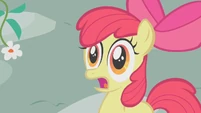 Apple Bloom shocked by Twist's cutie mark S01E12