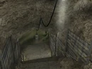Rattlesnake5