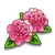 Ballet Queen Flower-icon