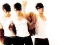 Kim Tae Hoon-Z-2