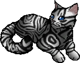 Shiningheart.star