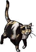 Dappletail.queen