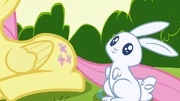Fluttershy's cutie mark appears S1E23