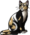 Dappletail.warrior