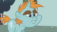 Snips Stare S01E06