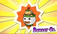 BowserJrPMSS