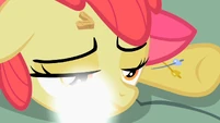 Vanishing cutie marks S2E6
