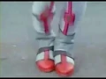 SuperSentaitransformations247