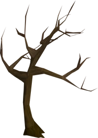 Windswept tree