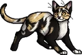 Dappletail.apprentice