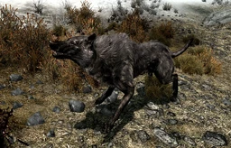 Pit Wolf