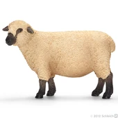 Oveja
