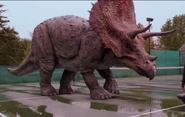 BreakthroughTriceratops