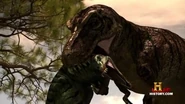 RexvsNano