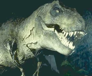 T-rexJP
