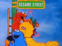 SesameHomeVideo-Cookie