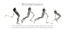 SliderBiomechanics