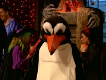 Penguin Suit