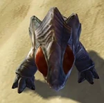 Hagnoffarl