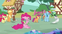 Main cast and their pets S03E11