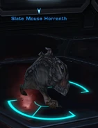 Slate Mouse Horranth