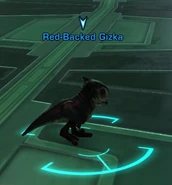 Red-Backed Gizka