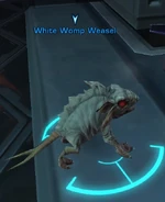 White Womp Weasel