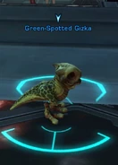 Green-Spotted Gizka