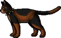 Snipe.rogue.png