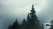 Forestofdoom
