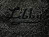 FoNV Libby